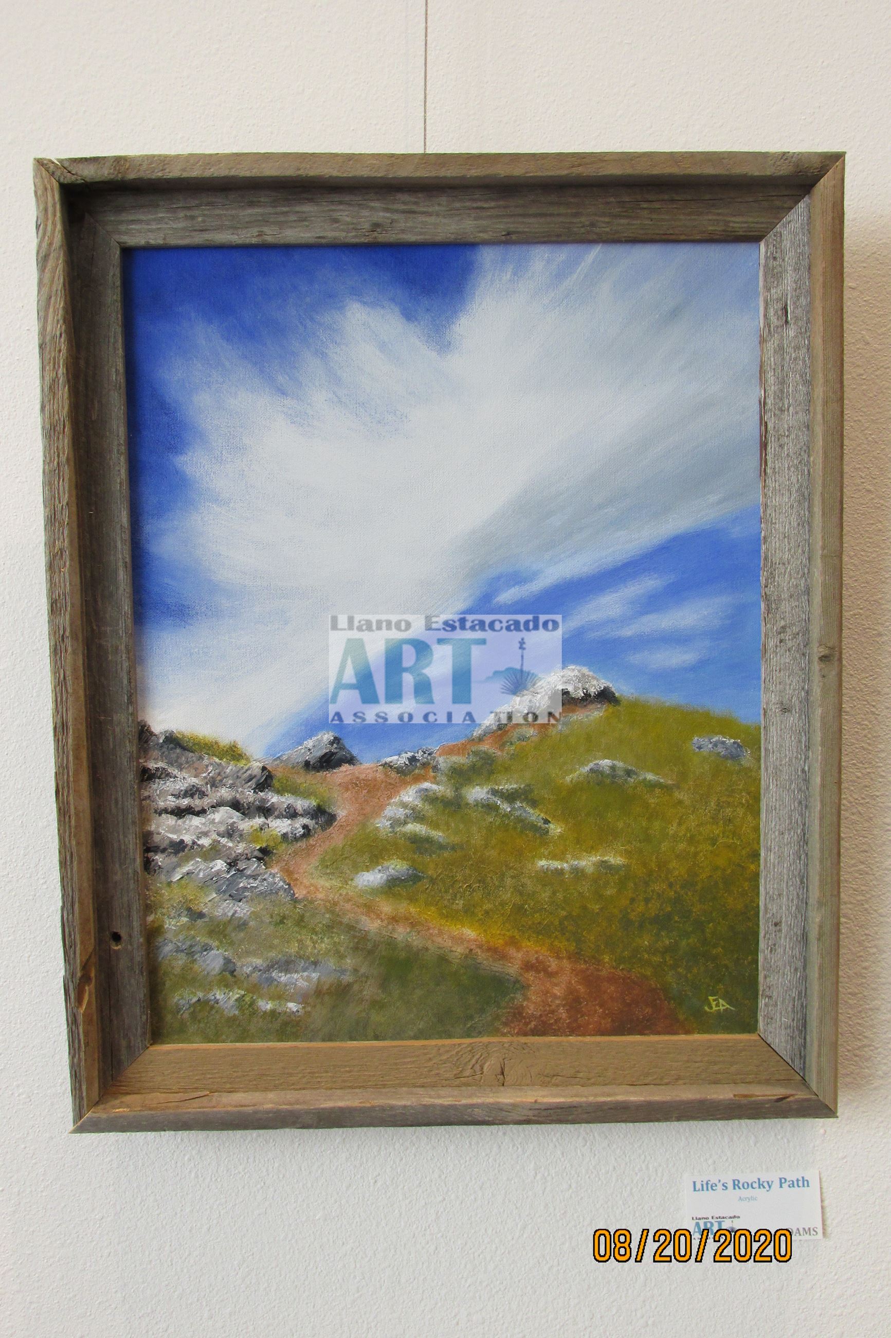 010 Lifes Rocky Path